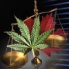 Great news for cannabis Canadians