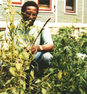 Mackey's garden in 1977