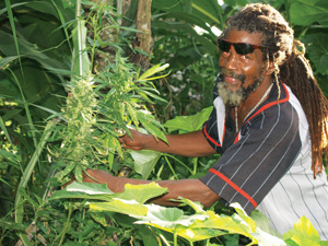 A friend in Jamaica, 2006