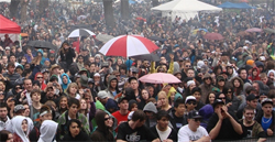 Thousands gathered at the Toronto Freedom Fest as part of the Global Marijuana March of 2009.