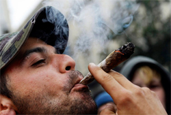 Mexican lawmakers and experts on Monday began a first debate on the legalization of marijuana as part of a possible strategy to tackle the country's powerful drug cartels. (Susana Vera, Reuters)